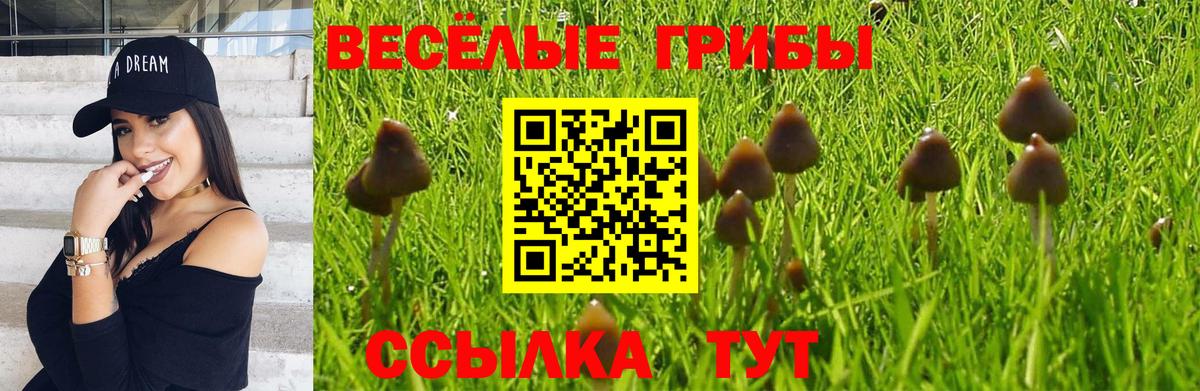 Псилоцибиновые грибы мицелий  Галлюциногенные грибы Cubensis  Гусь-Хрустальный  Вход с VPN 