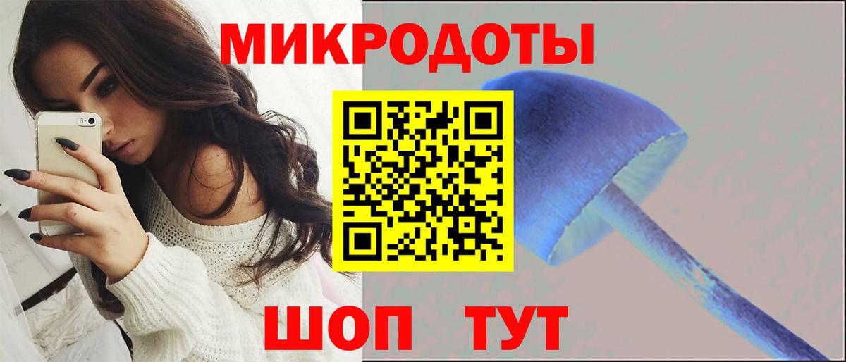 Псилоцибиновые грибы Psilocybine cubensis Гусь-Хрустальный